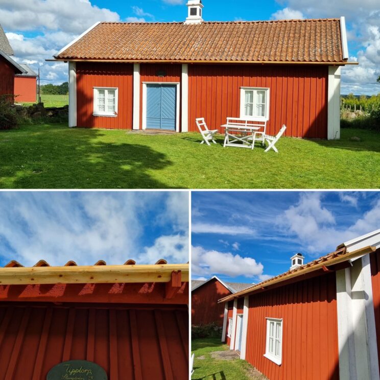Det gamla trädet med Odqvister
